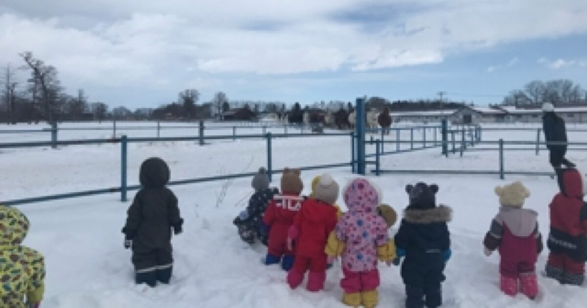 とかちぼくじょうさんへ