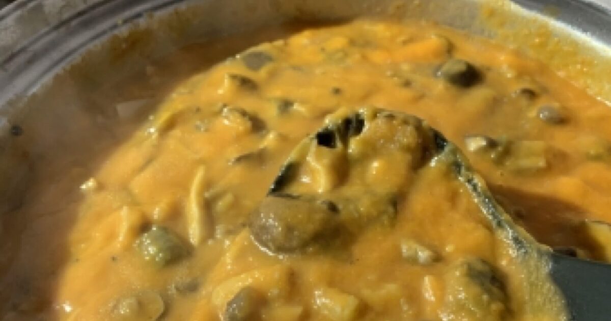 新メニュー！ハヤシライス