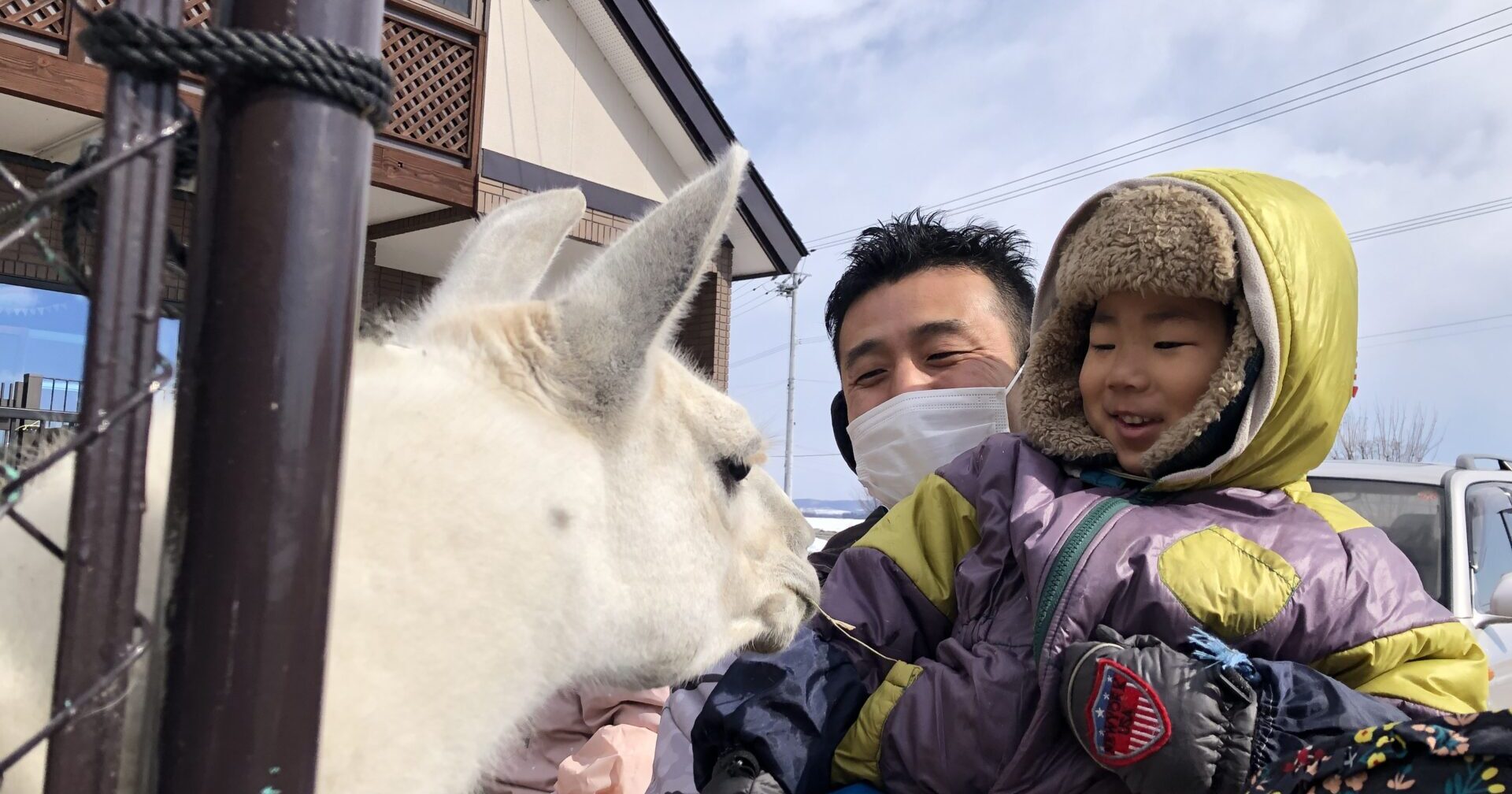 どうぶつとのふれあい