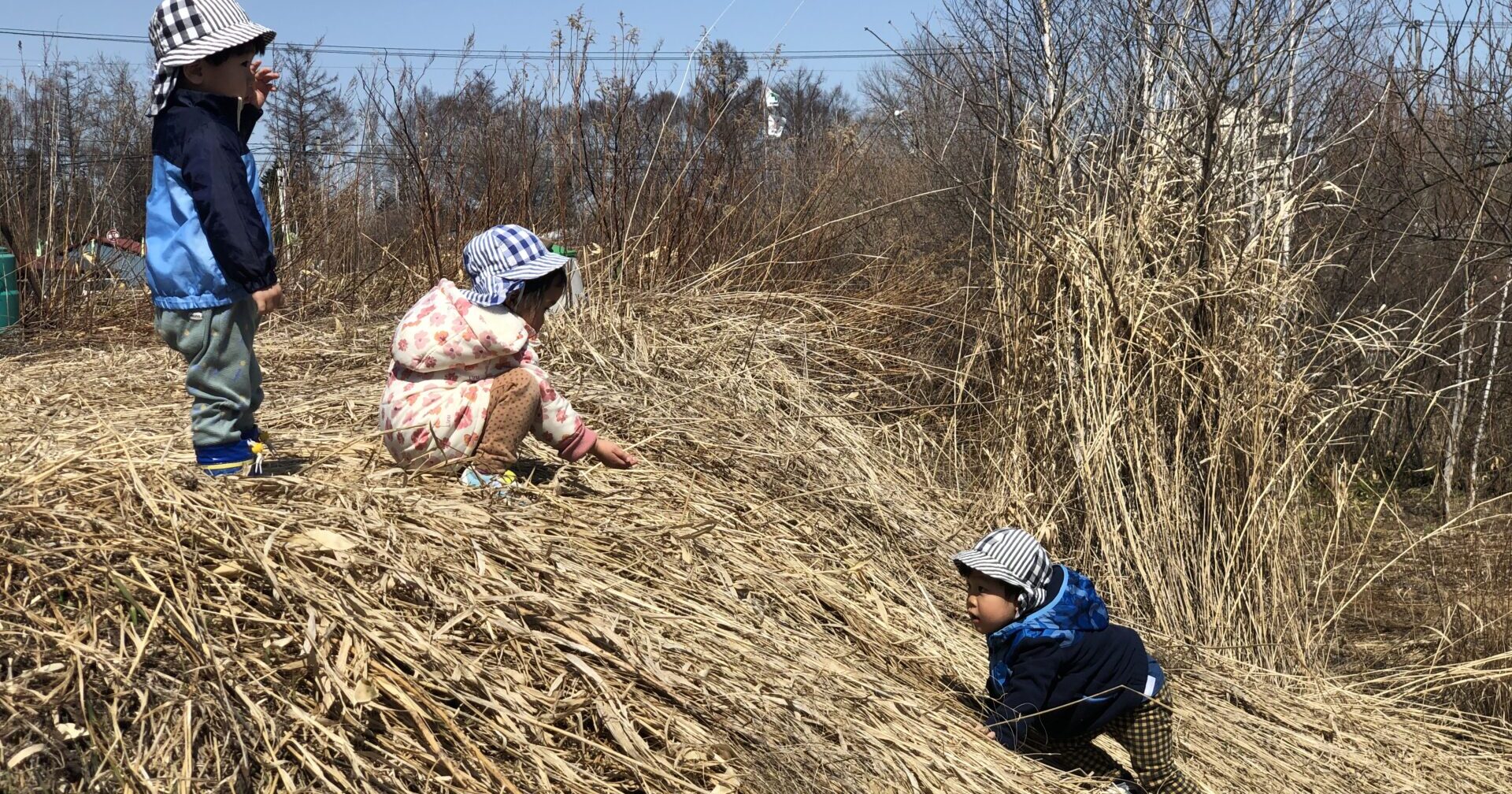 ようこそひだまりへ