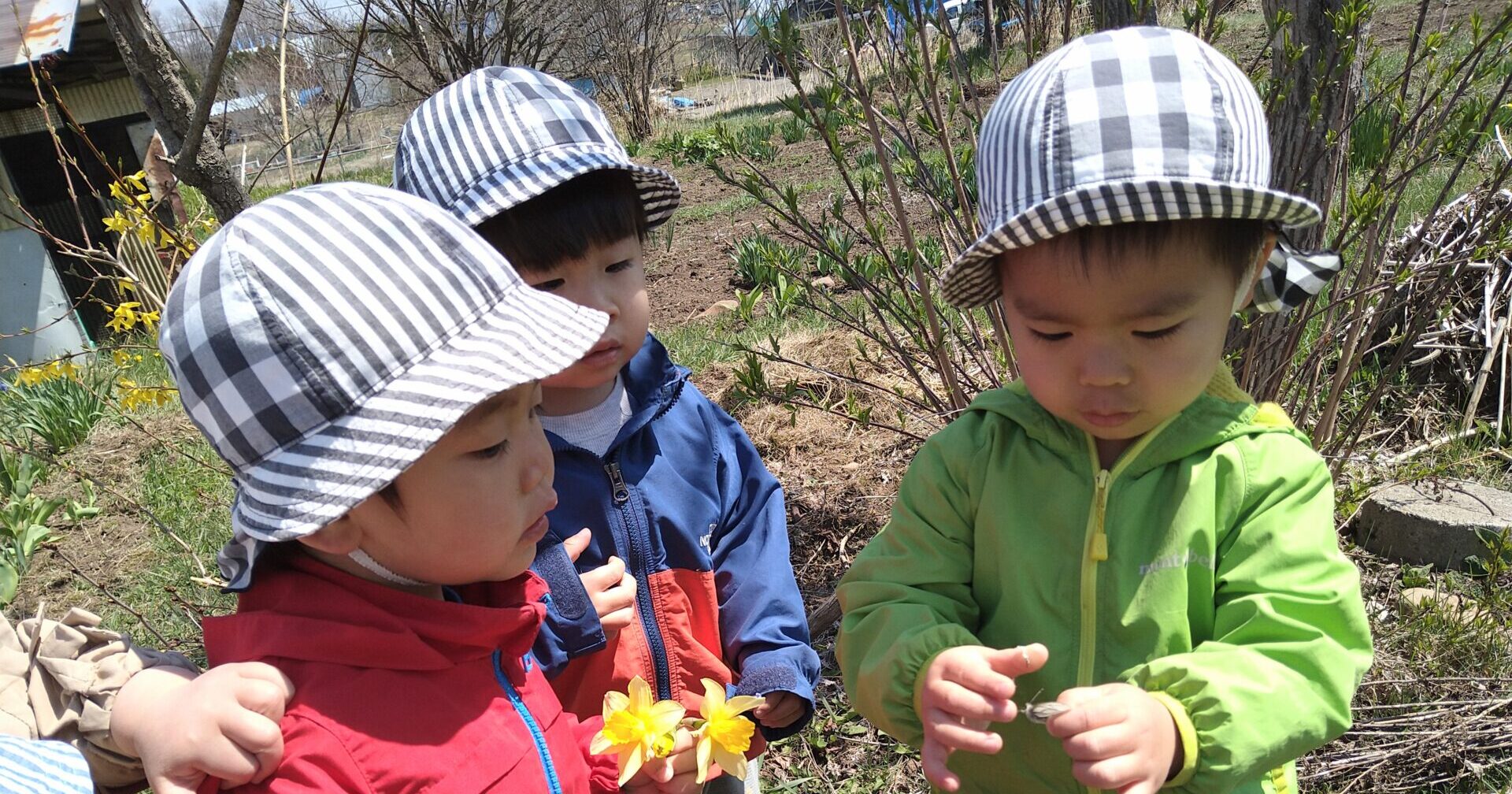 はる　みーつけたっ