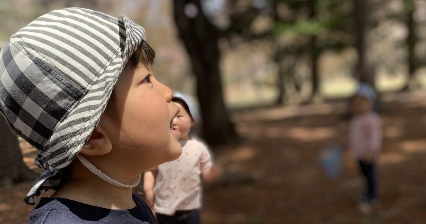 しぜんのなかで