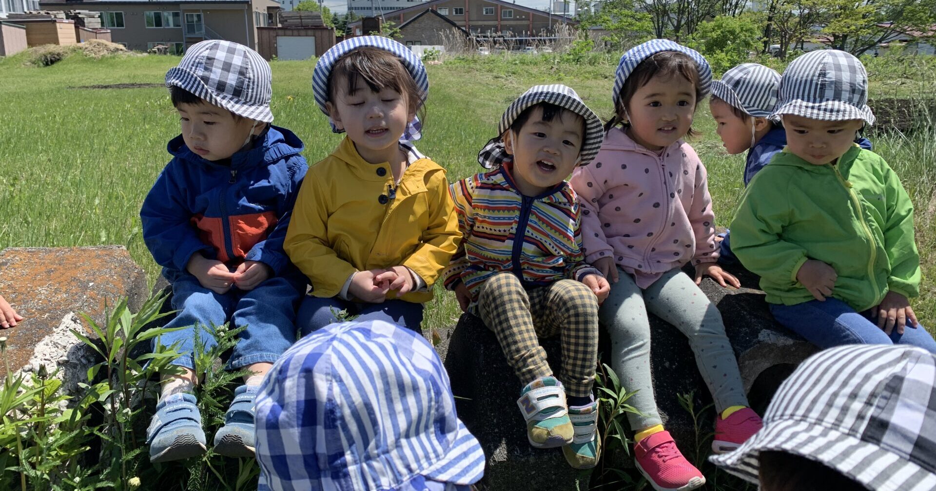 いきものとのふれあい