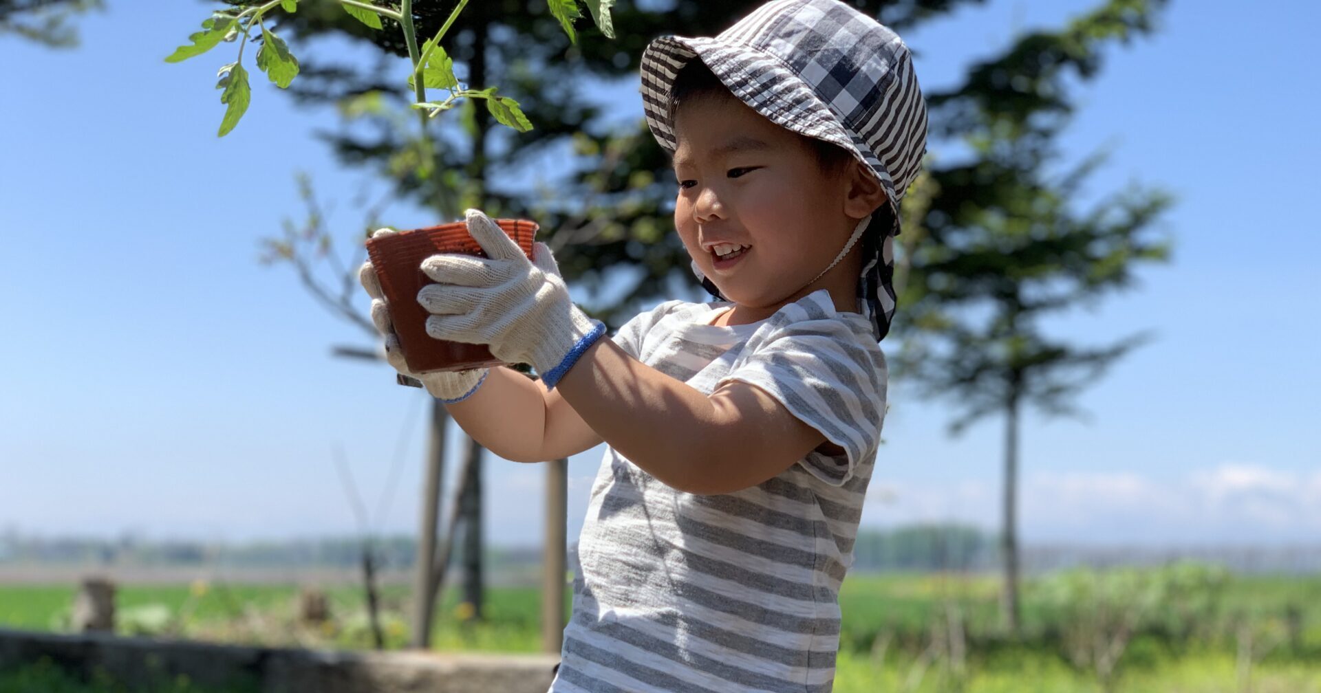 はたけのおしごと