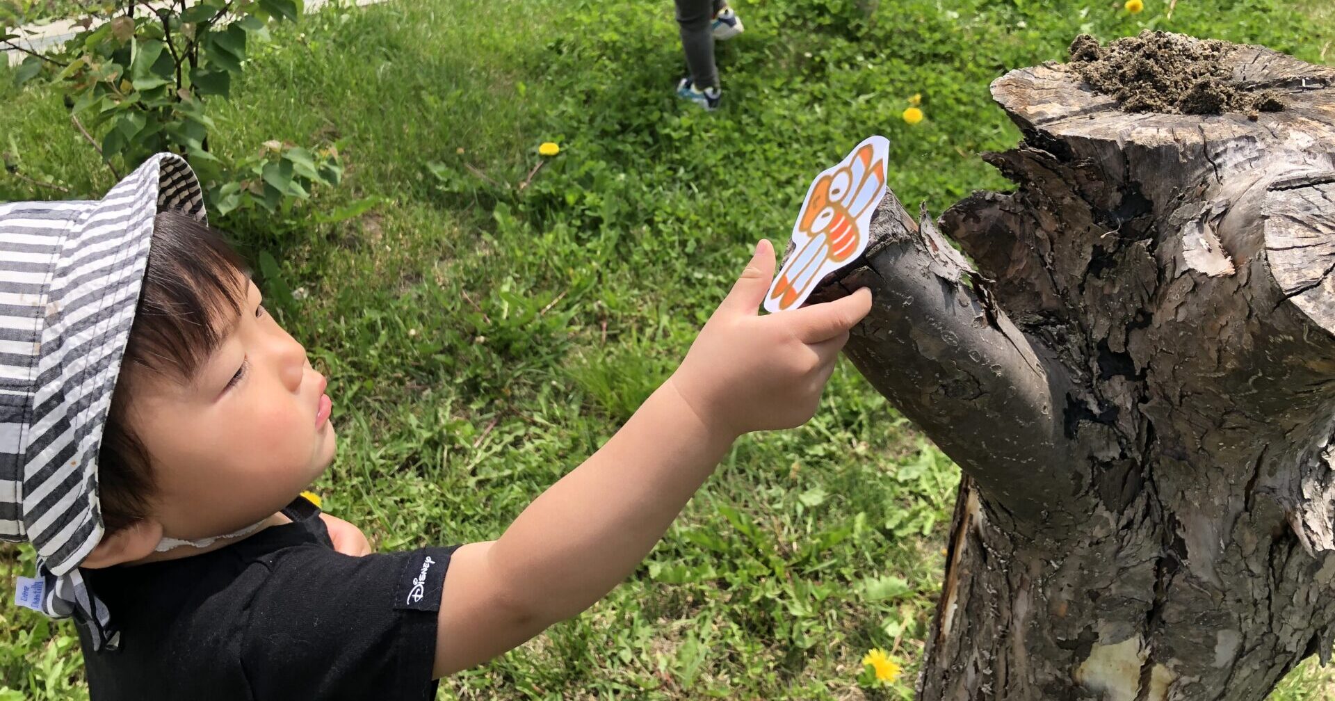 みんなでむしをさがそう