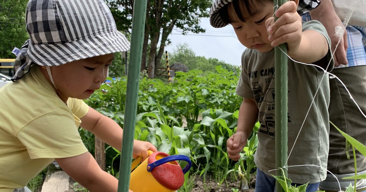 ひだまりばたけ