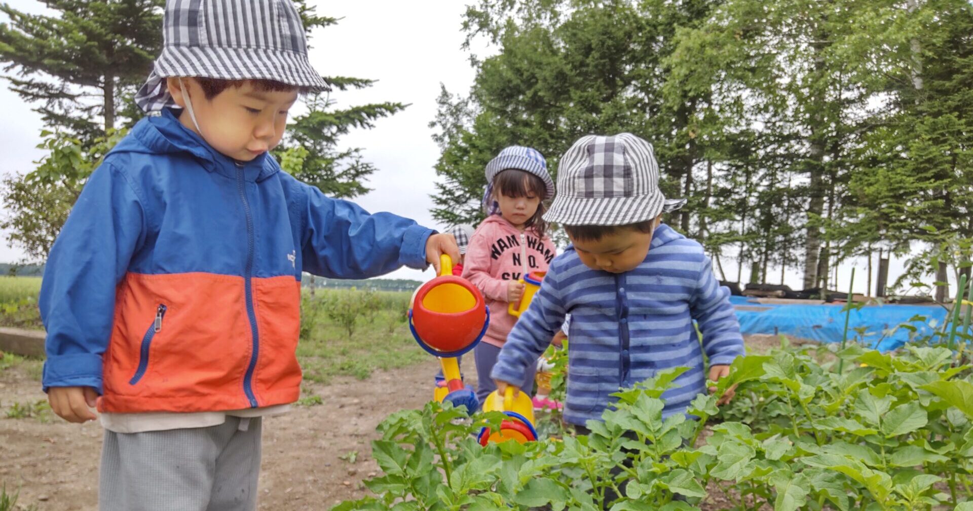 やさいたちにおみずをあげよう