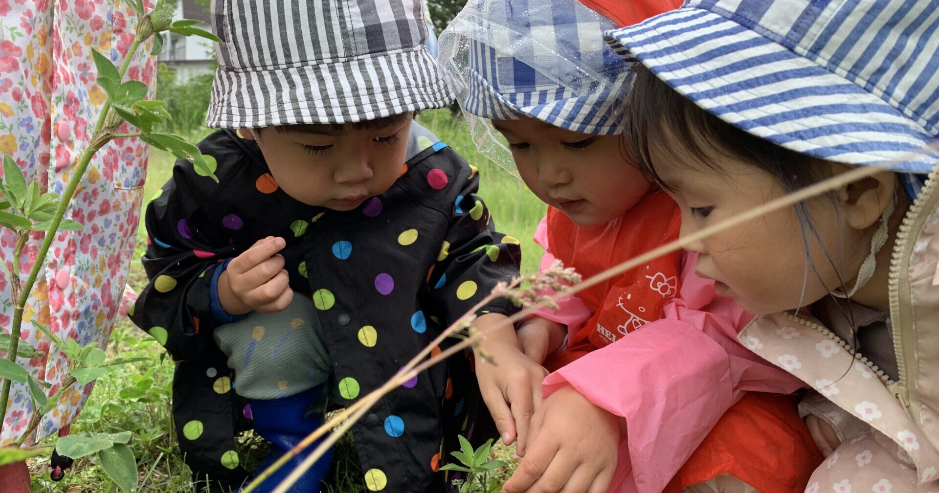 あめふりさんぽ