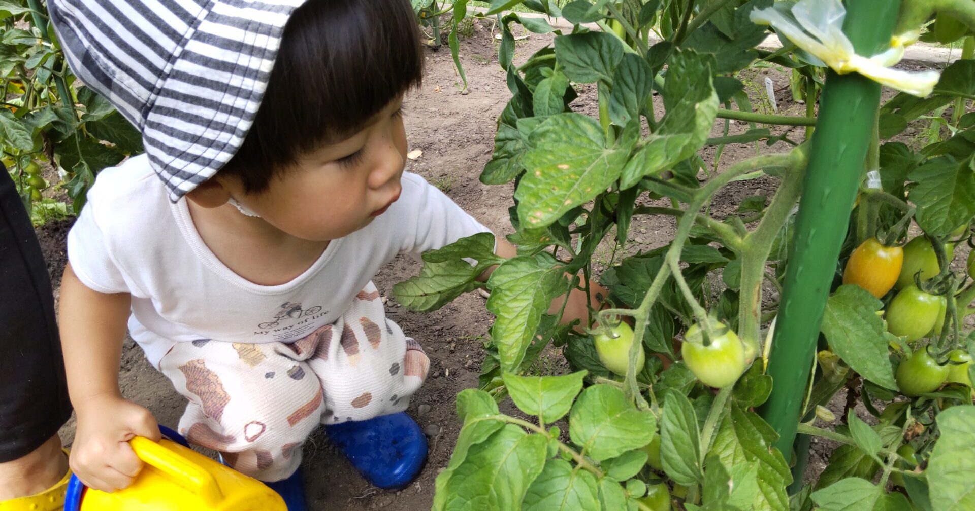 ひだまりのもりへ