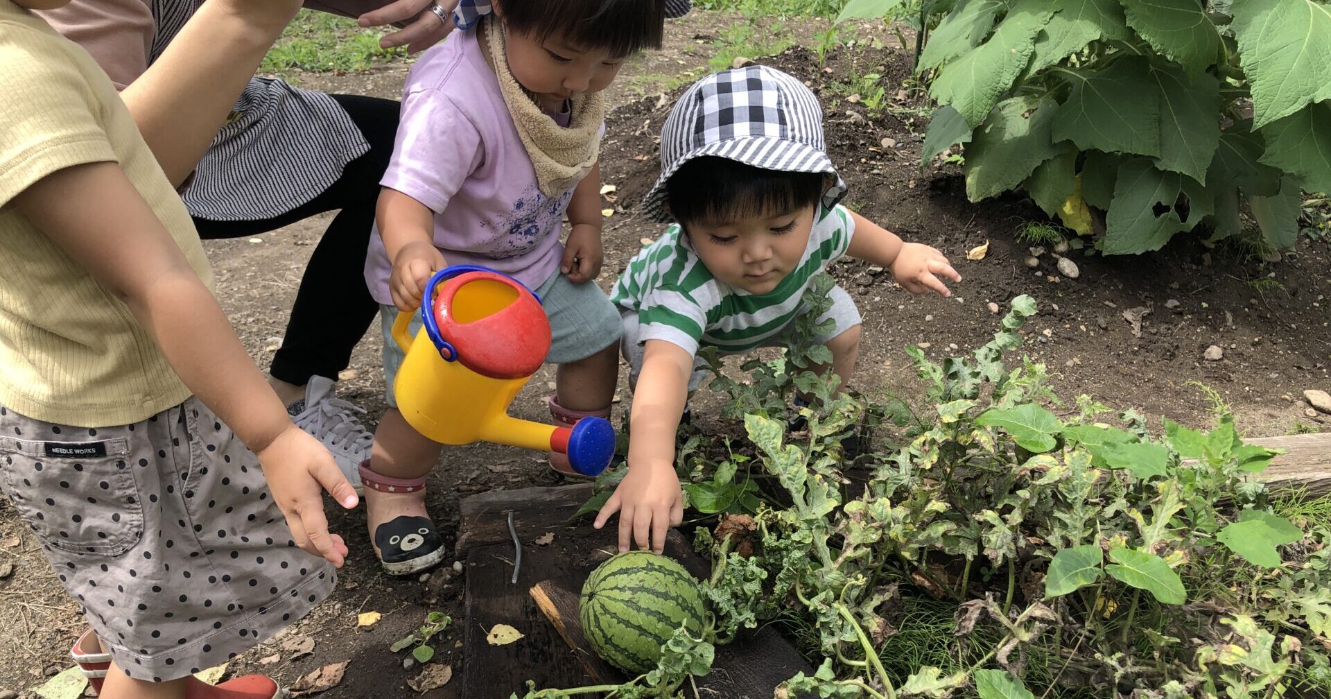 ひだまりのもりへ