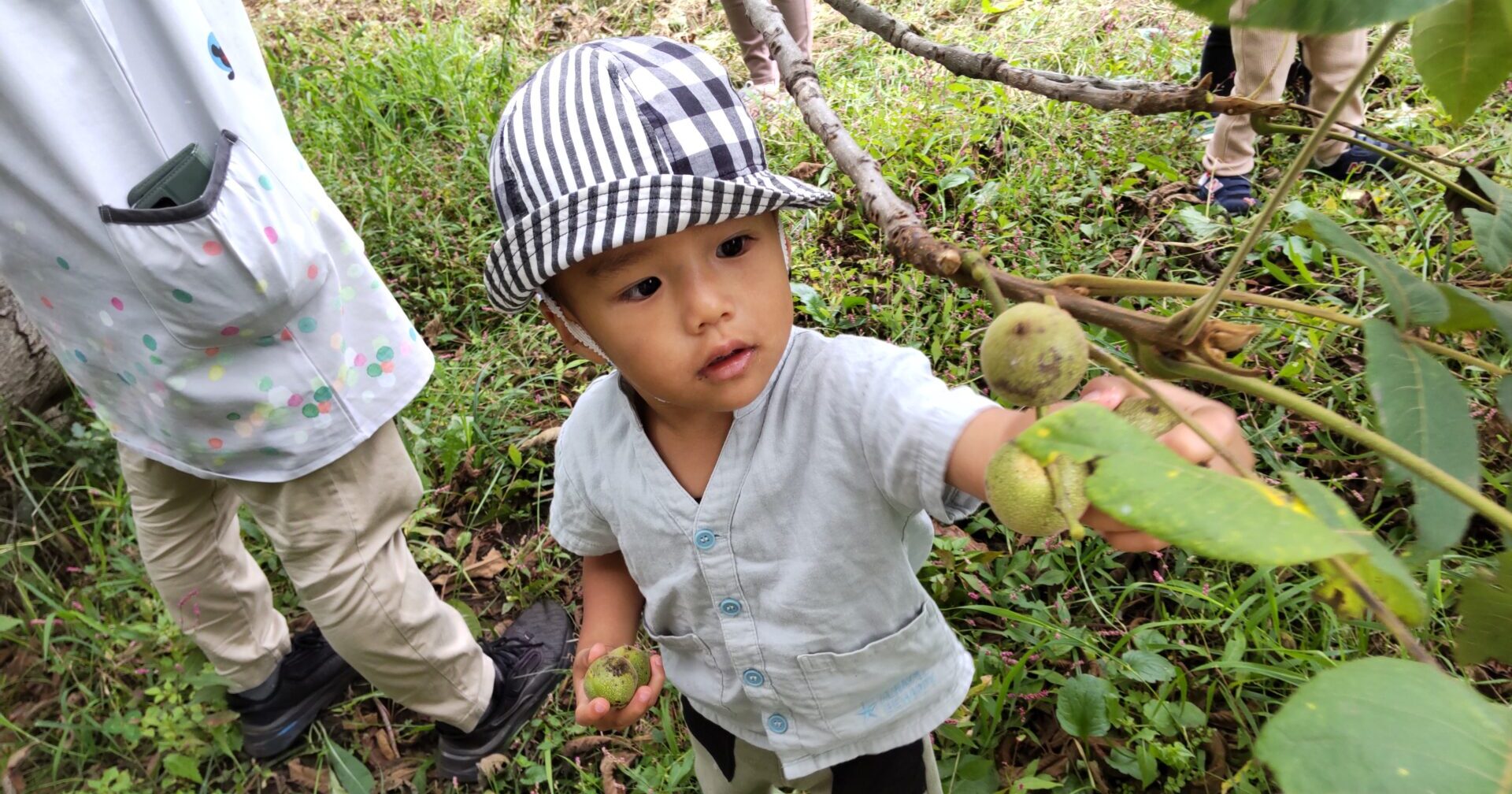 くるみをさがしに