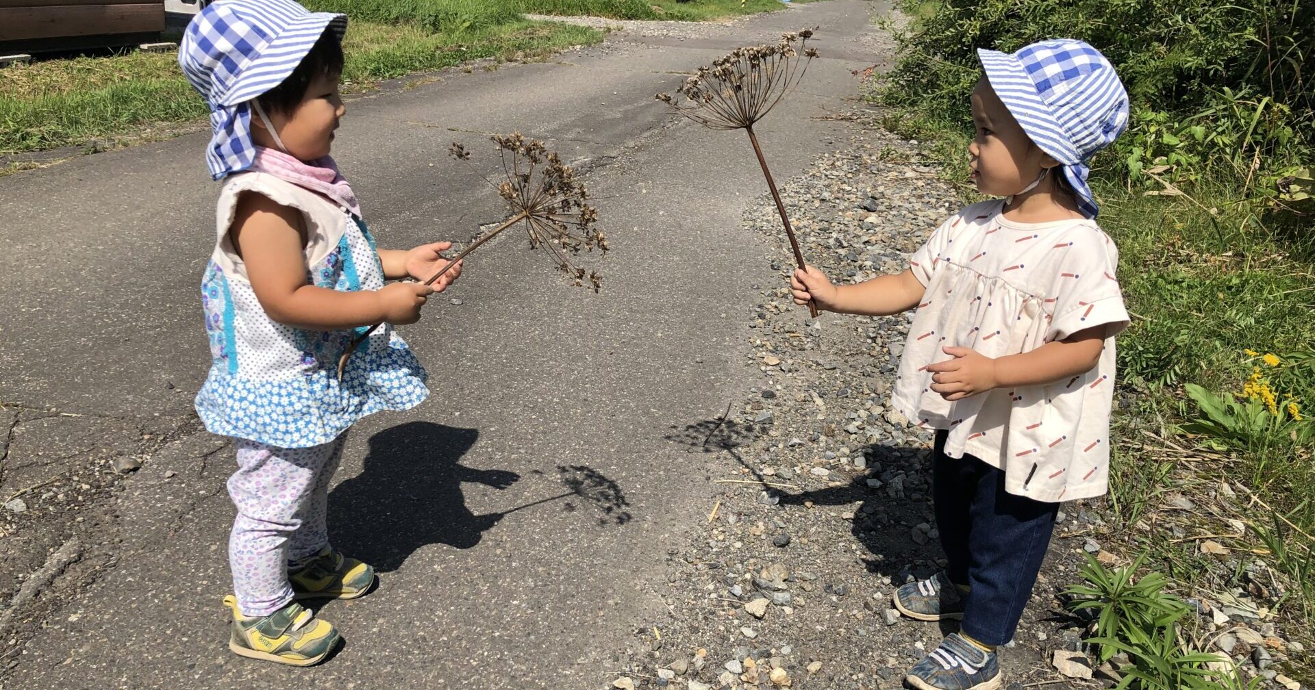 あきがちかづいてるね