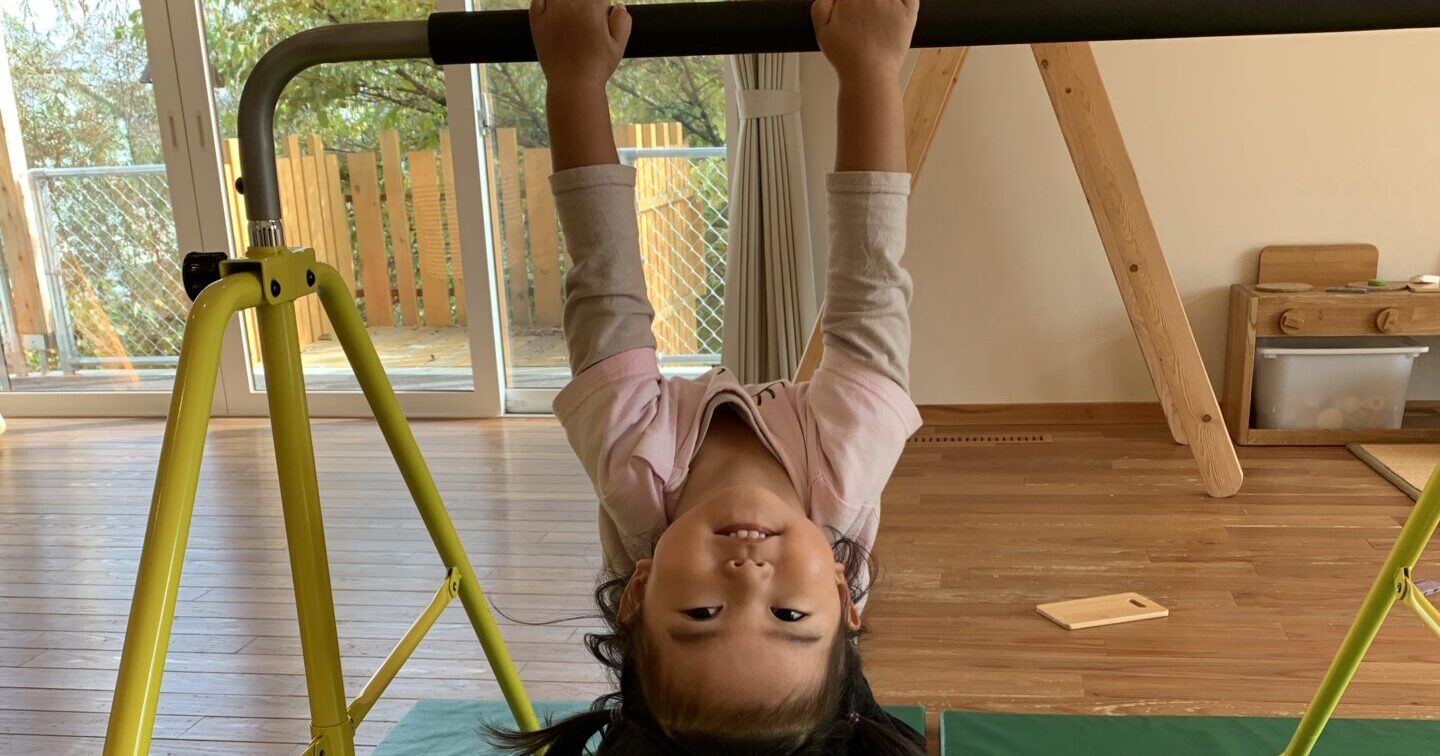 てつぼうぶらぶら