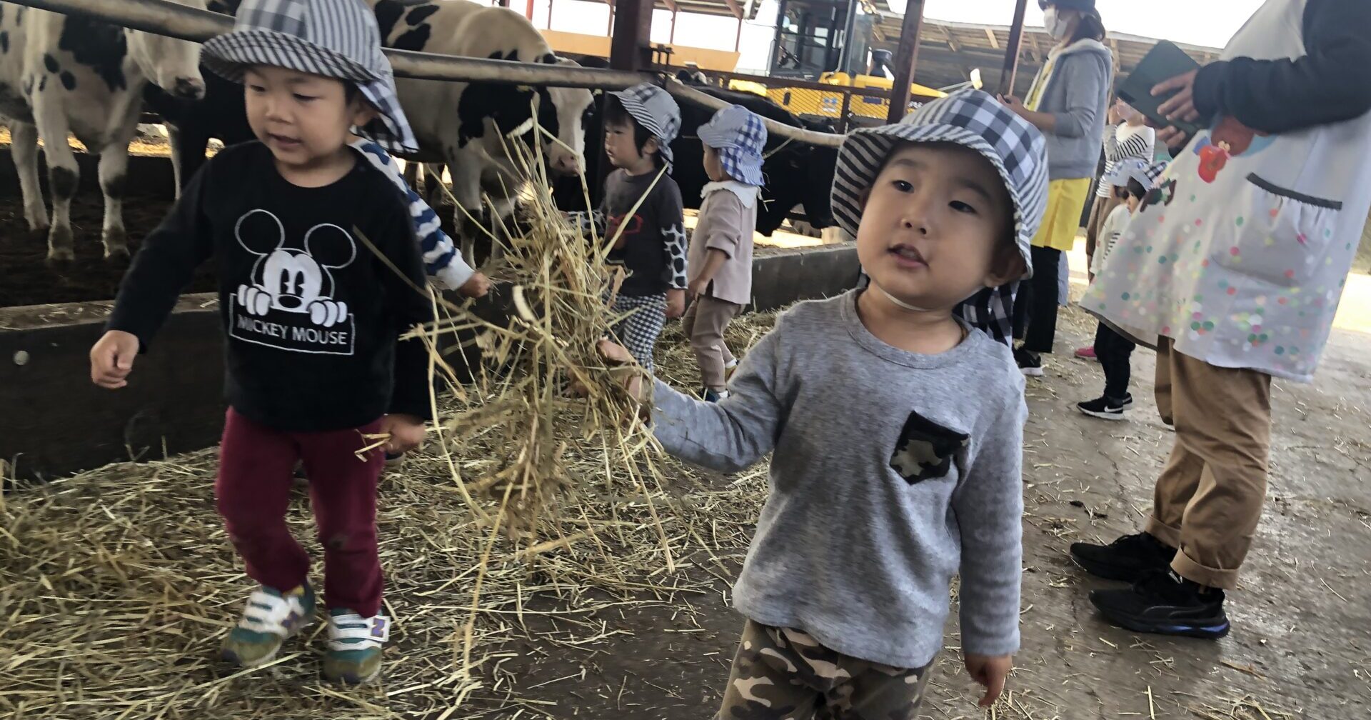 うしさんこんにちは