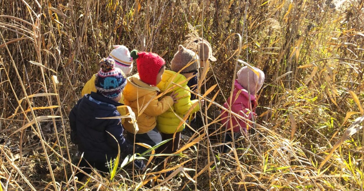 ジャングルたんけん