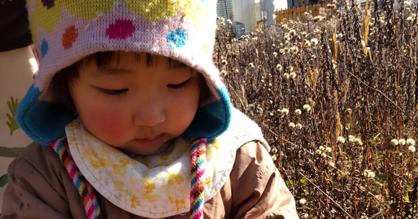 ふゆをさがして