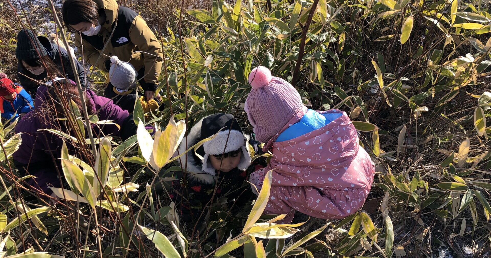 たのしいことたくさん