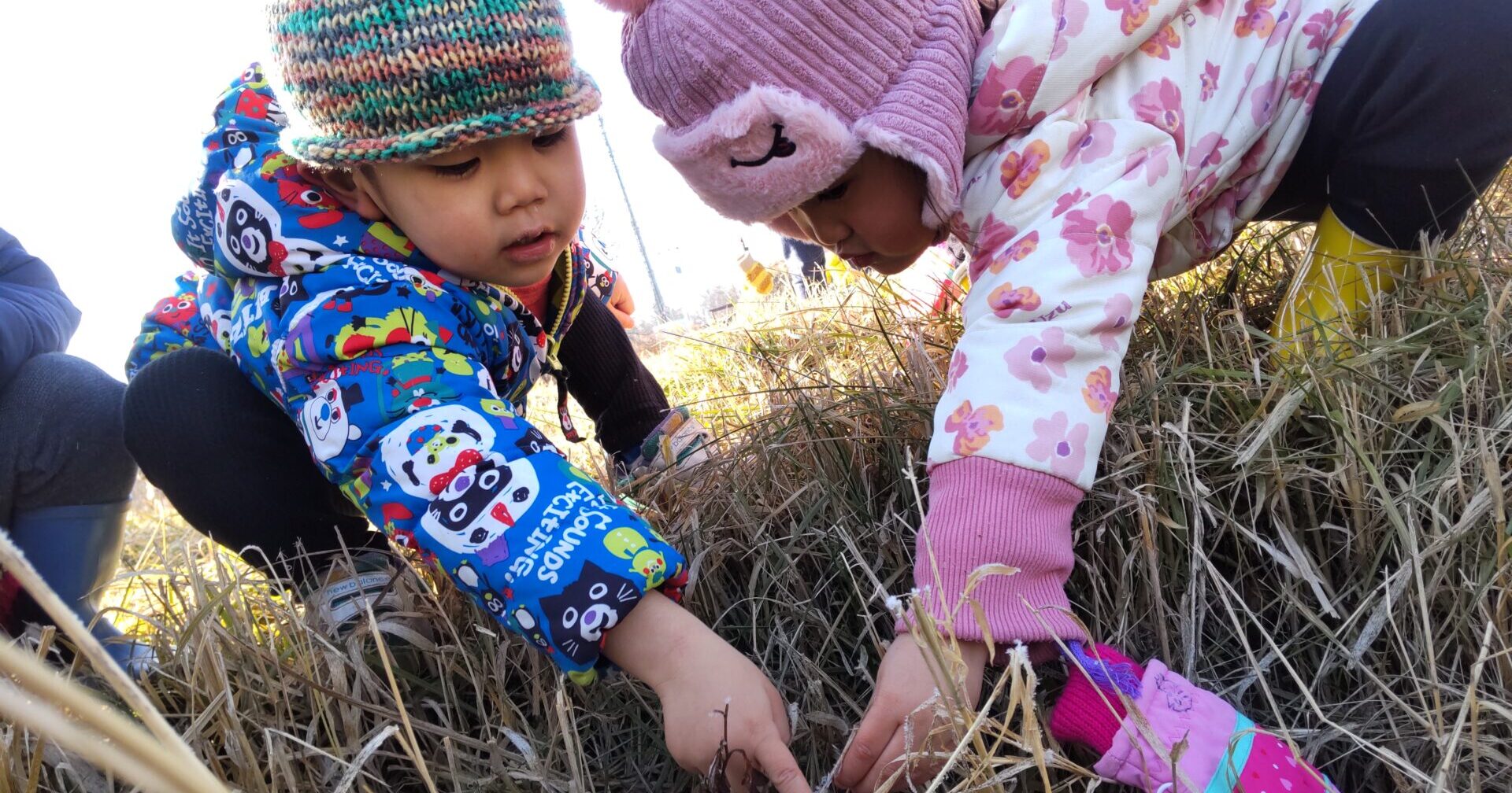 あっちにも！こっちにも！