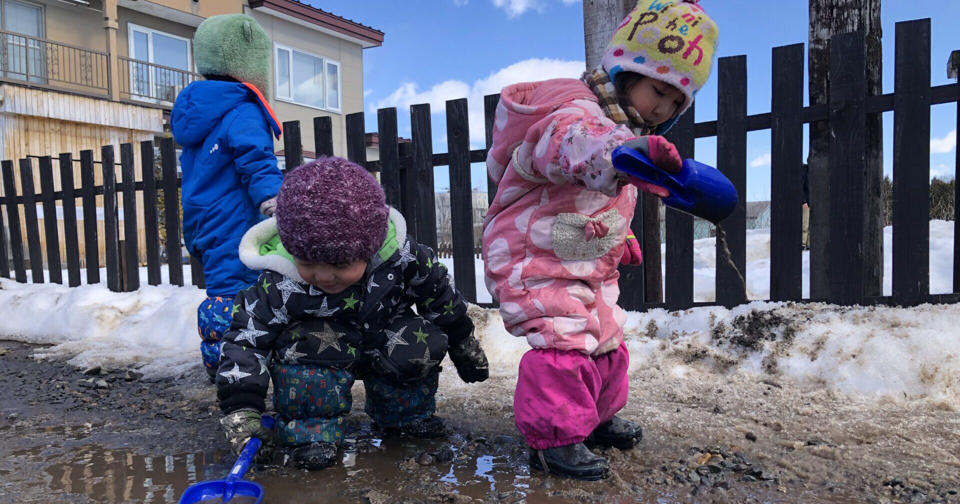 なかまのそんざい