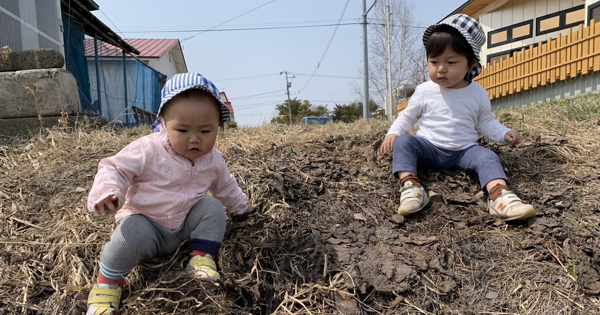 ならしほいく2しゅうめ