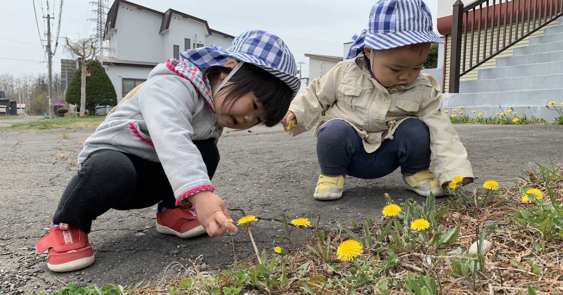 はるがいっぱい