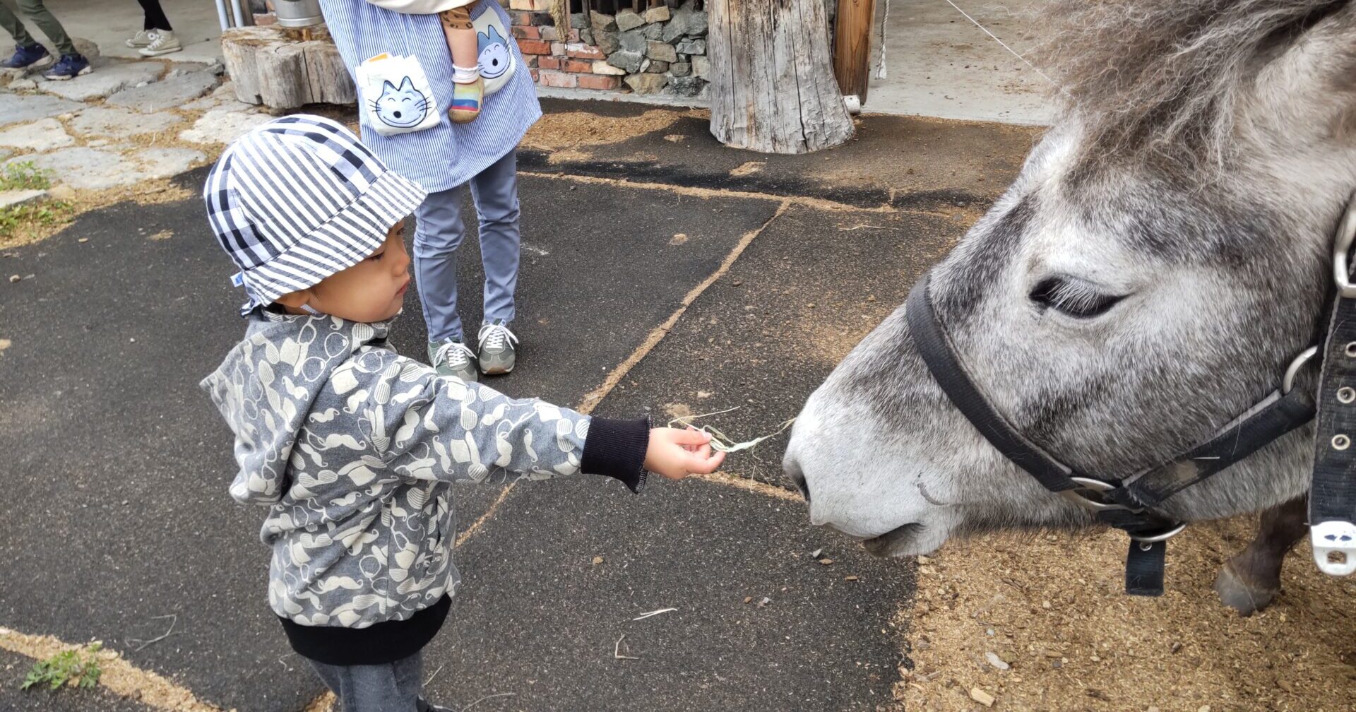 かわいぞうえんさんへ