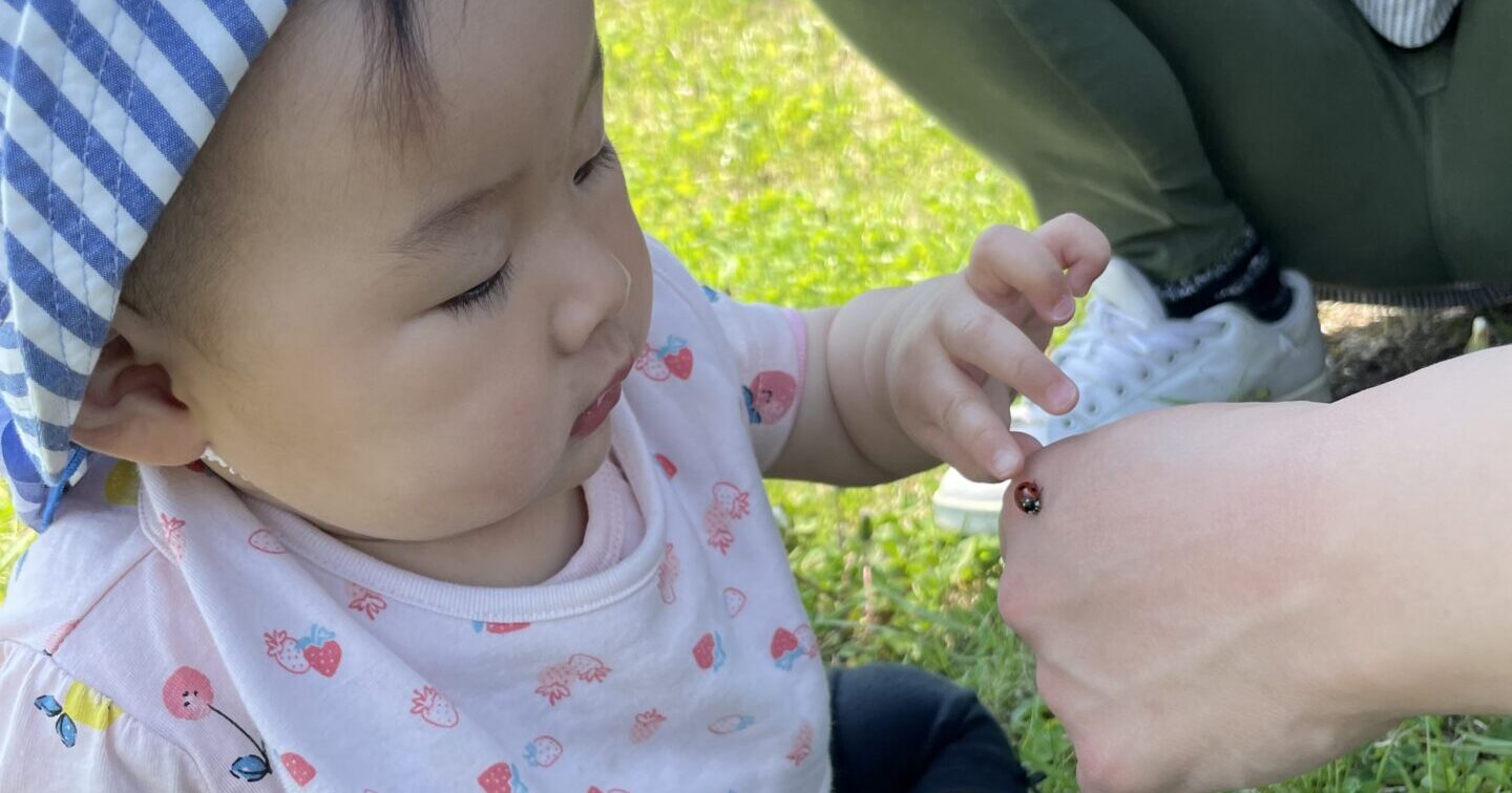 あおぞらのもと