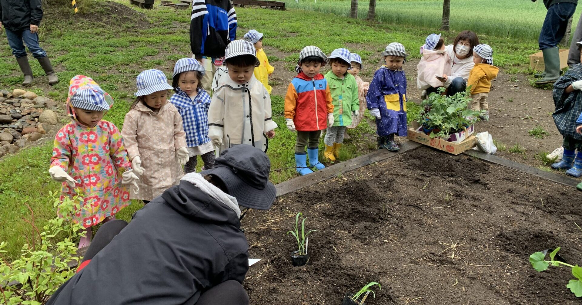 ひだまりばたけ