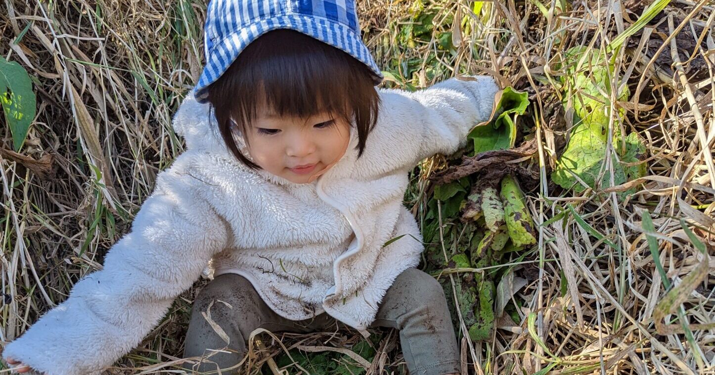 ポカポカいいてんき