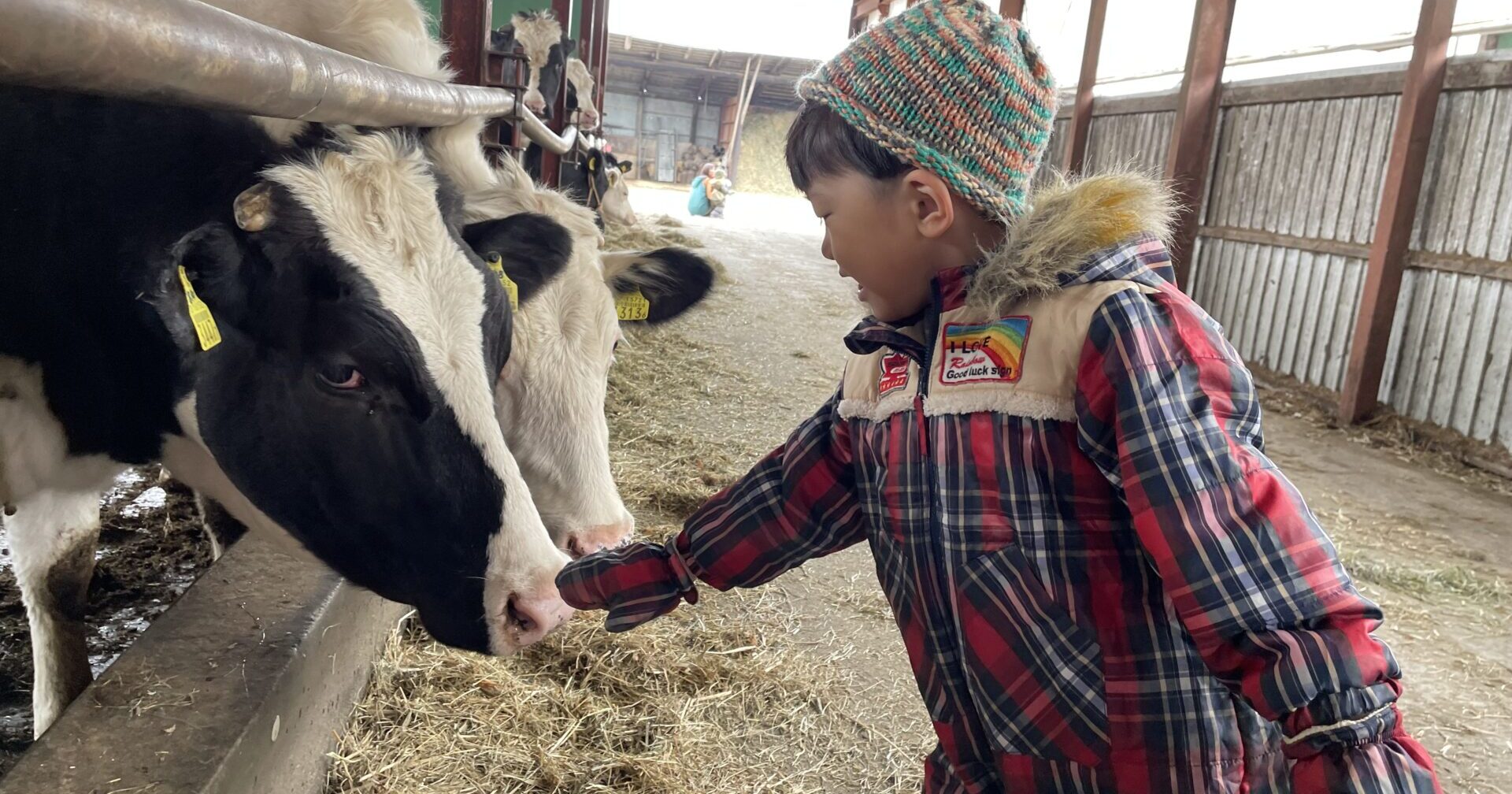 どうぶつやしぜんにふれて