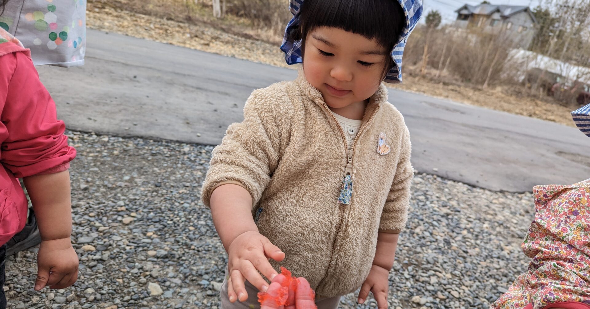 ドキドキワクワクないちにち