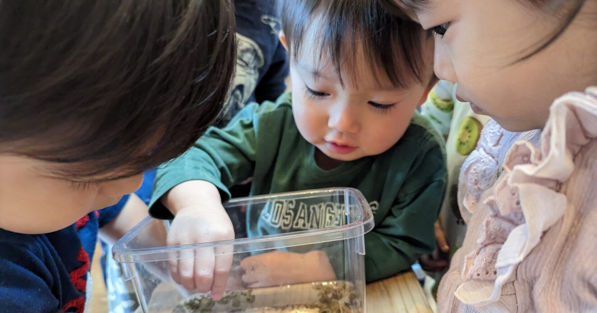 たのしさひろがる