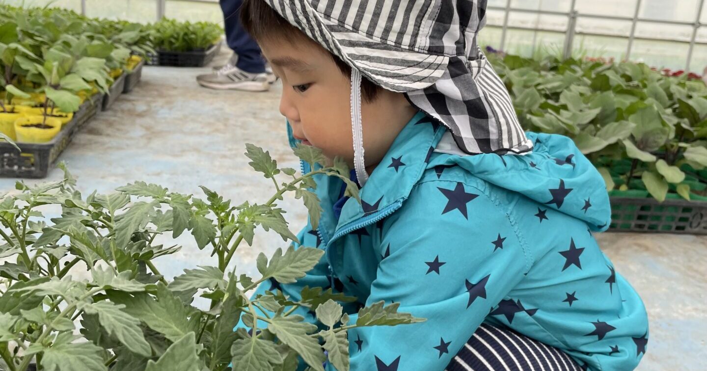 それぞれのかつどうを