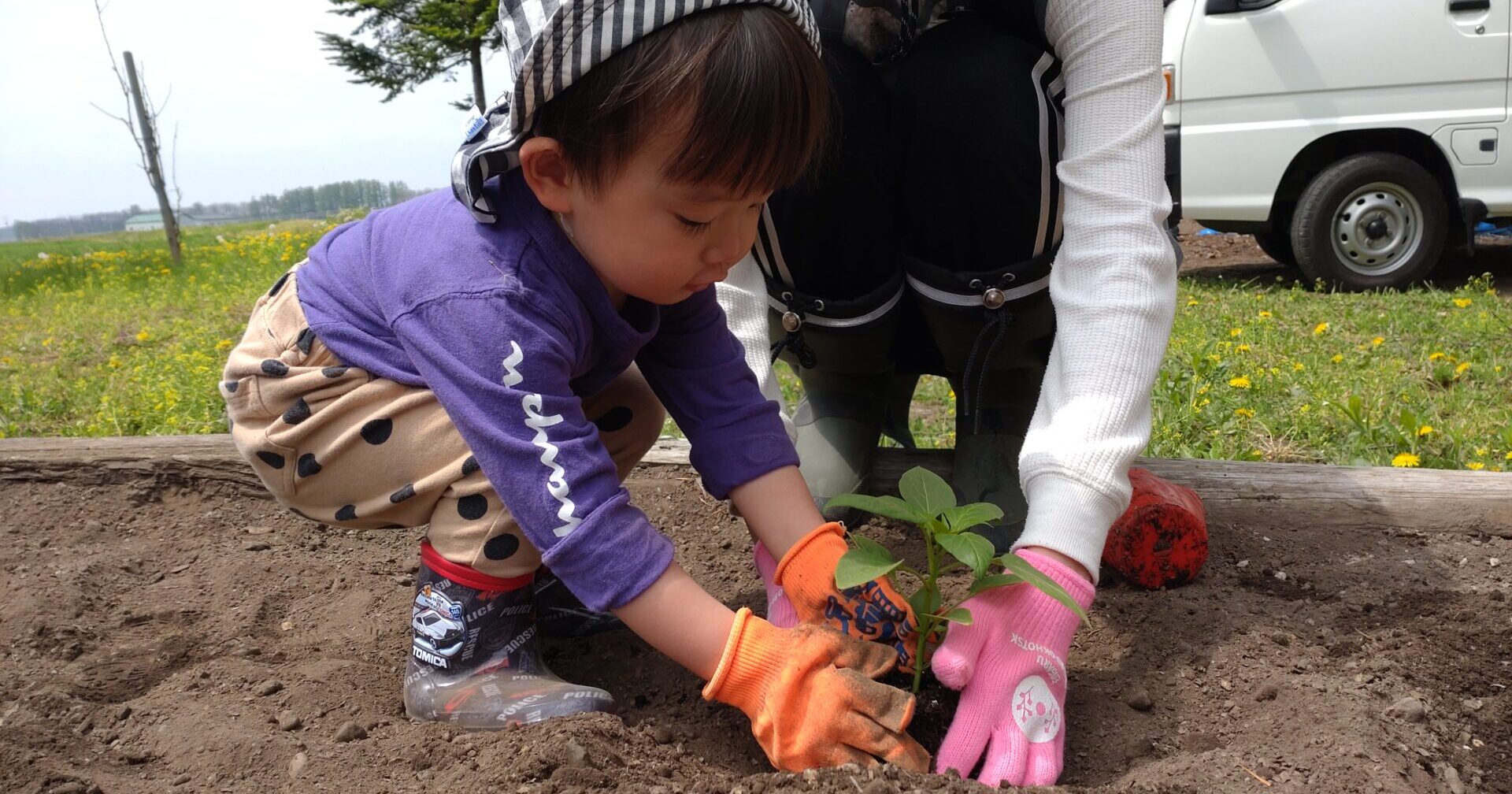 みんなでいもうえ