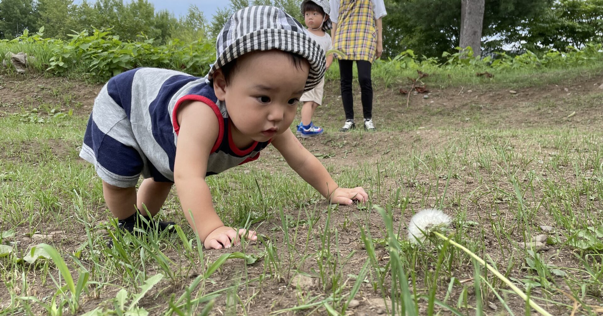 のんびりげつようび