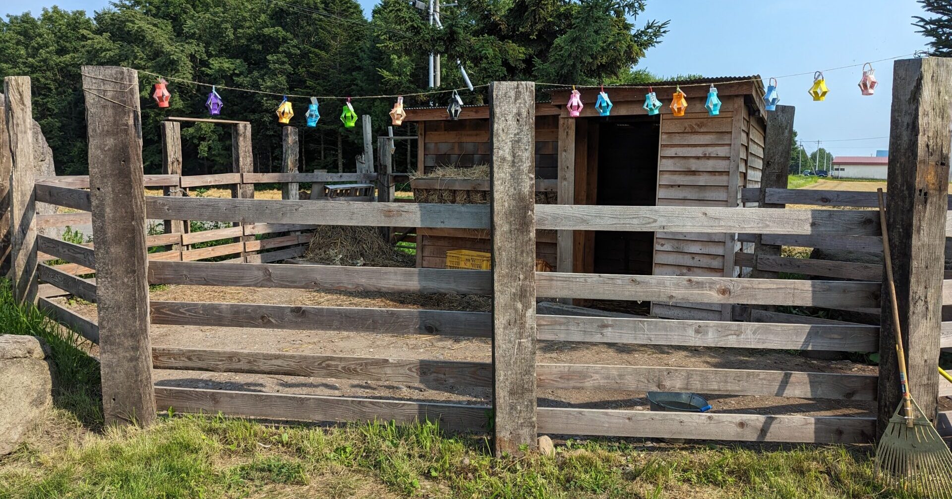 ひだまり なつまつり