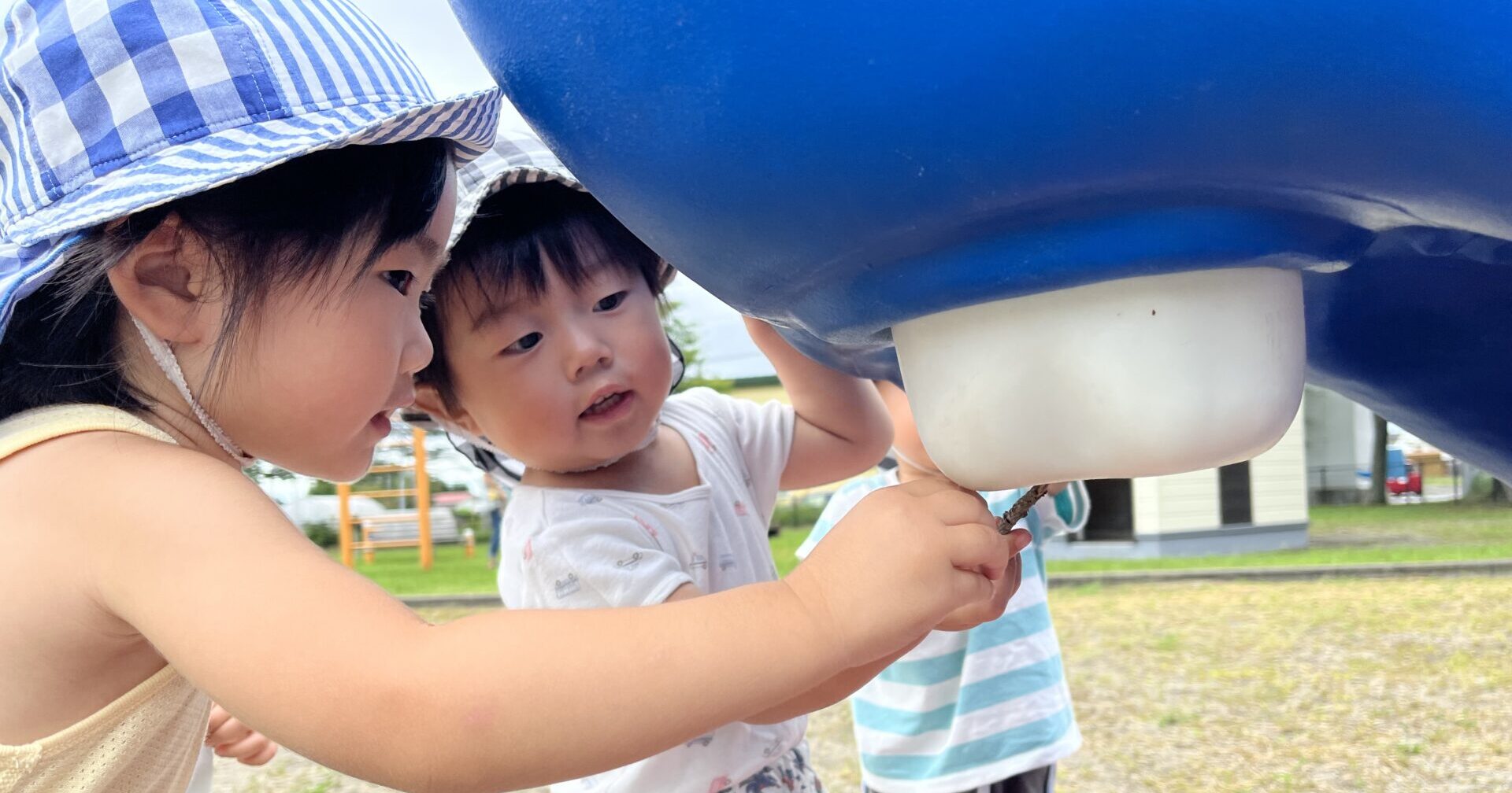 おさんぽびより