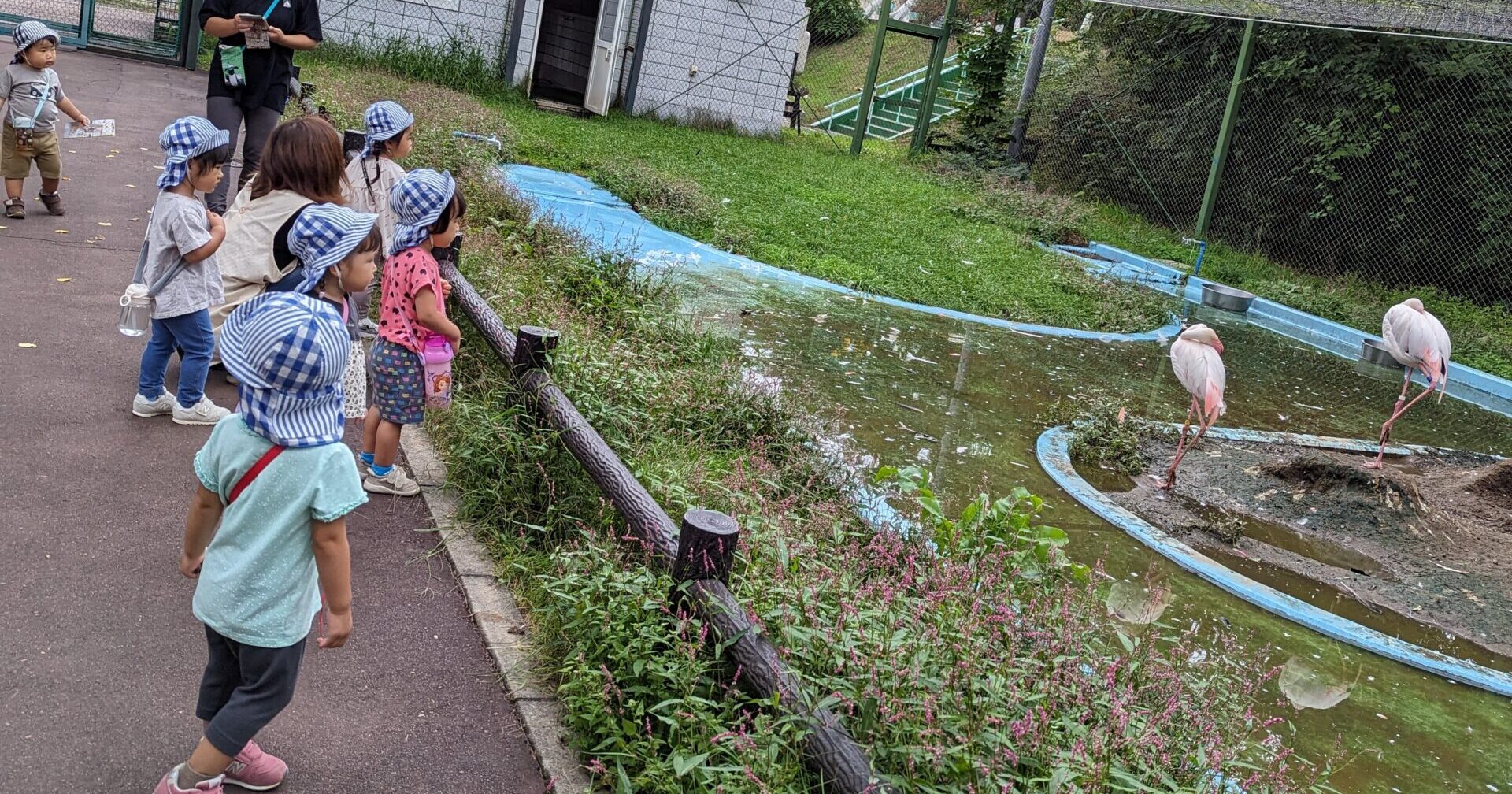 ０・１さいさんどうぶつえんへ