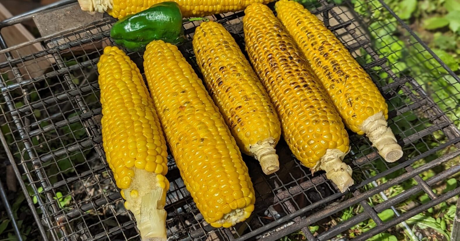 しゅうかくさい