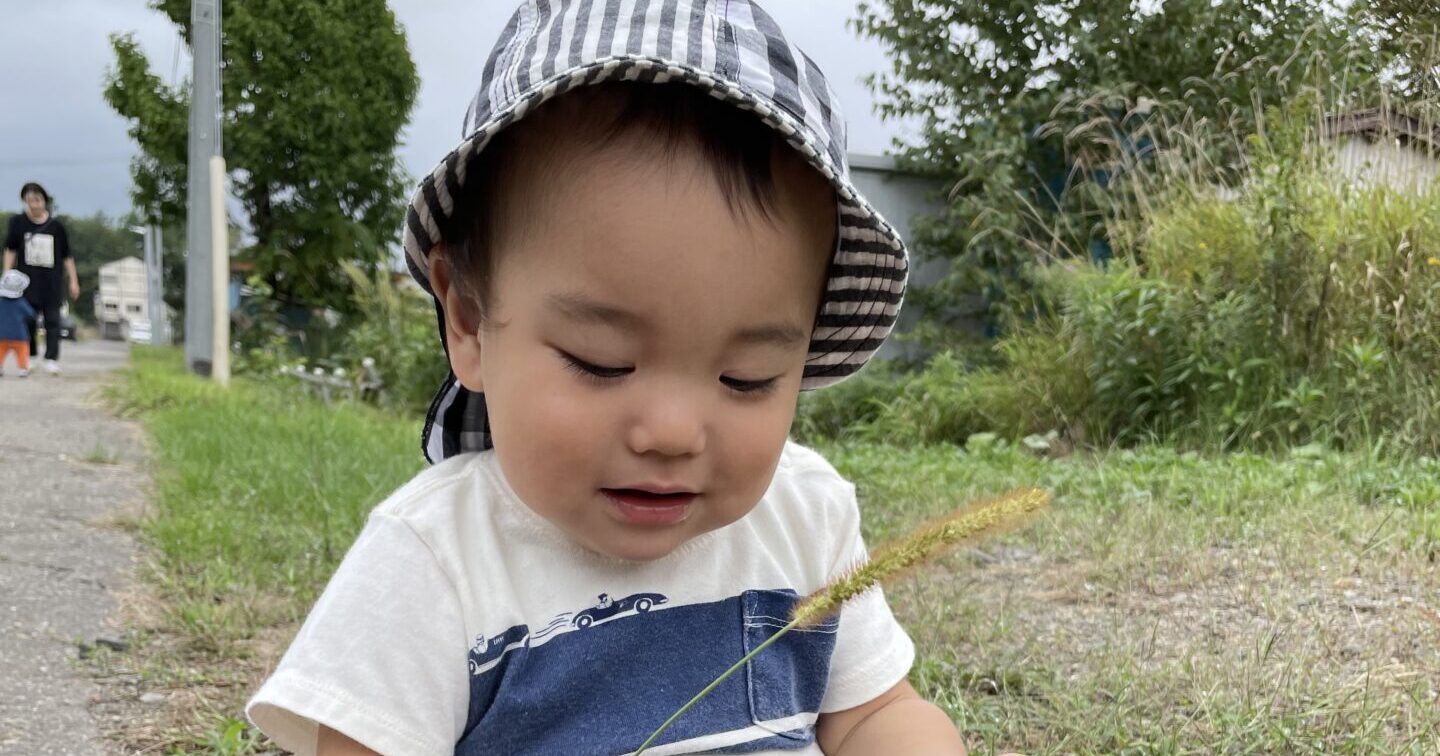 たのしいがたくさん