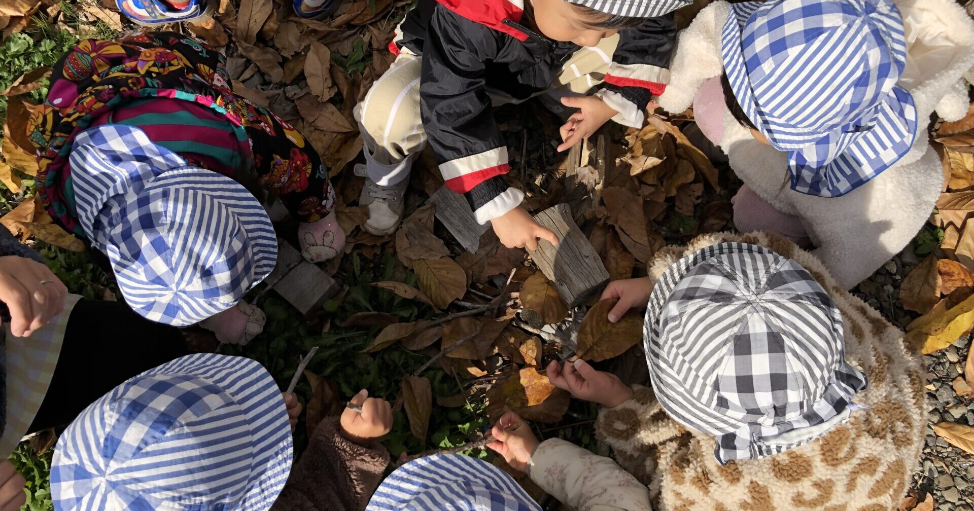 こどもはかぜのこ