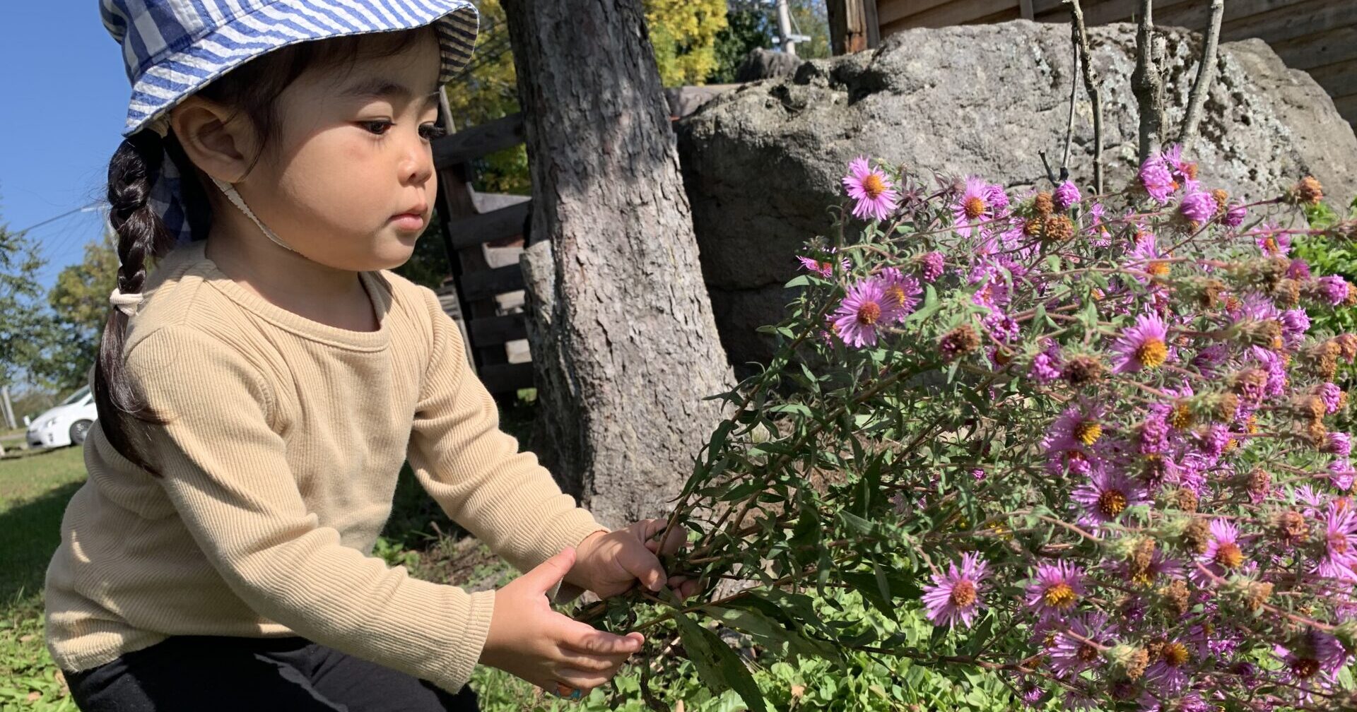 あきばれいいてんき