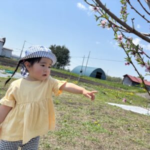もものおはなけんがく