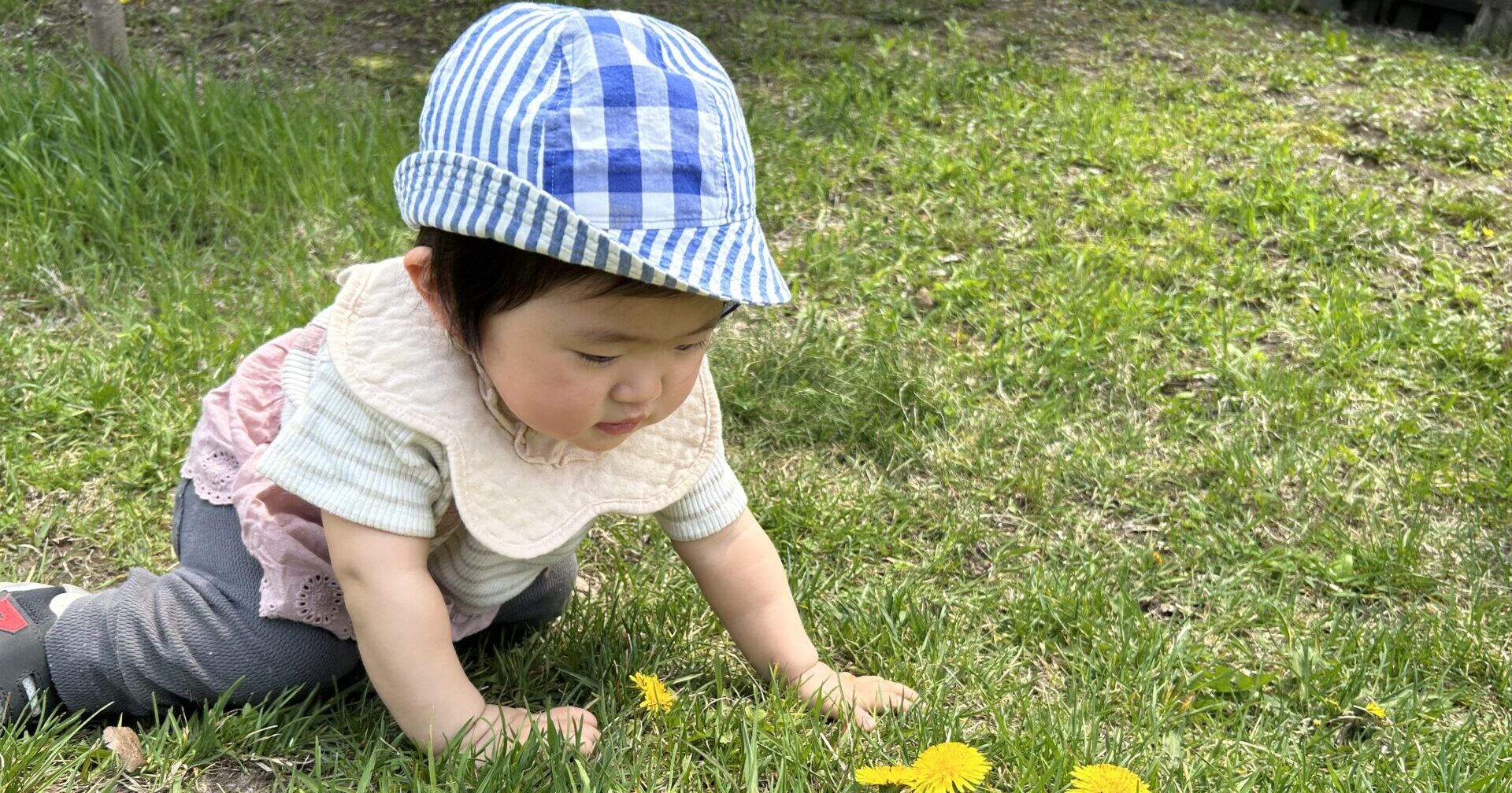 はるがたくさん