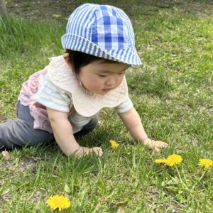 はるがたくさん