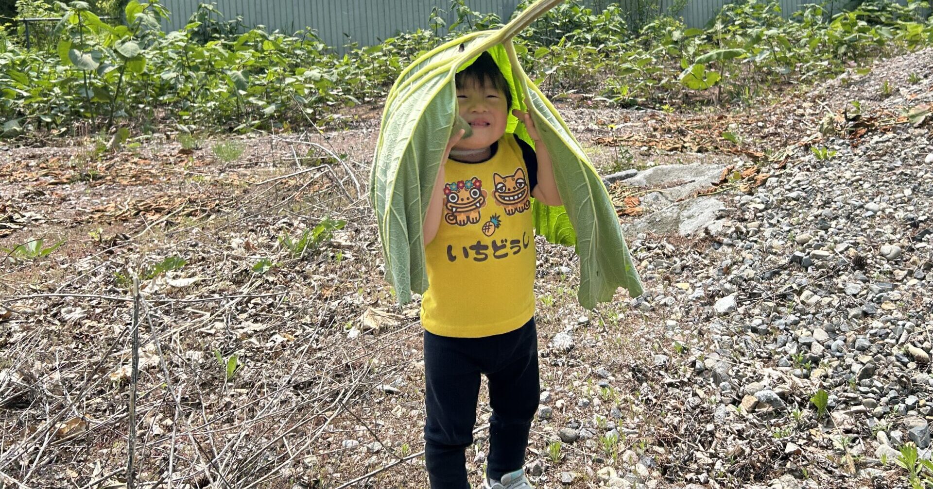 ぜんしんをつかってあそんで