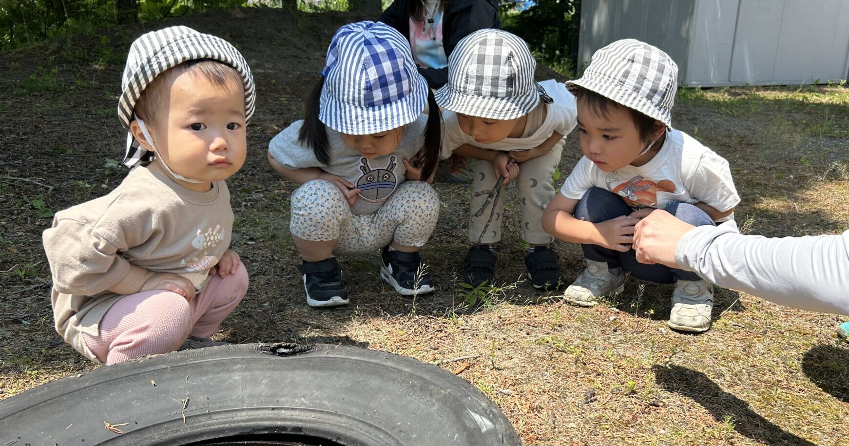 はっけんがたくさん