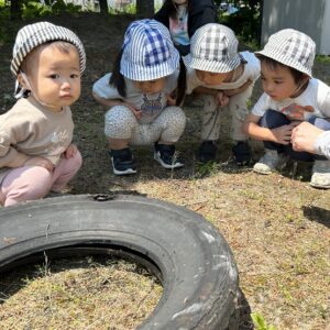 はっけんがたくさん