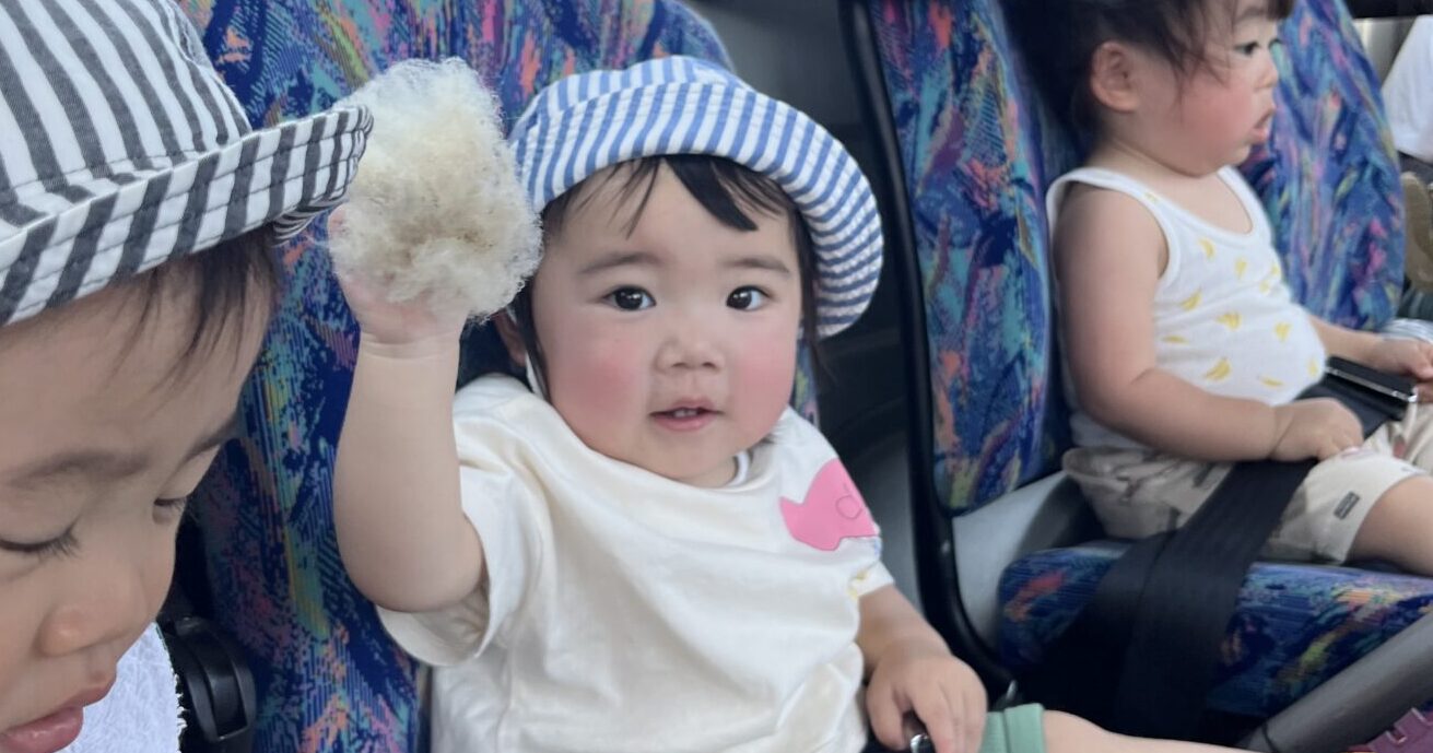 ひつじのけがりをけんがくに