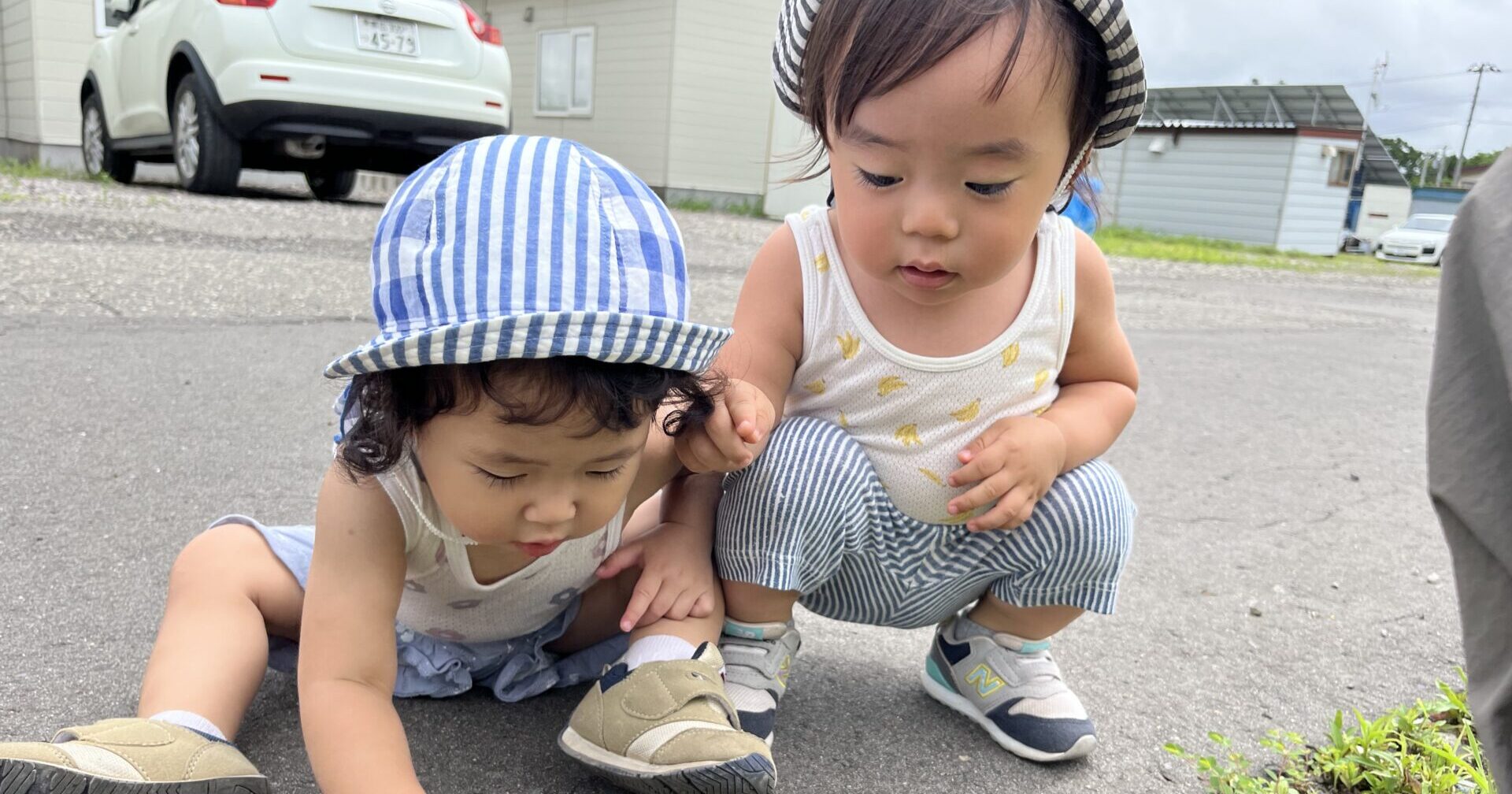 みんなでいっしょに